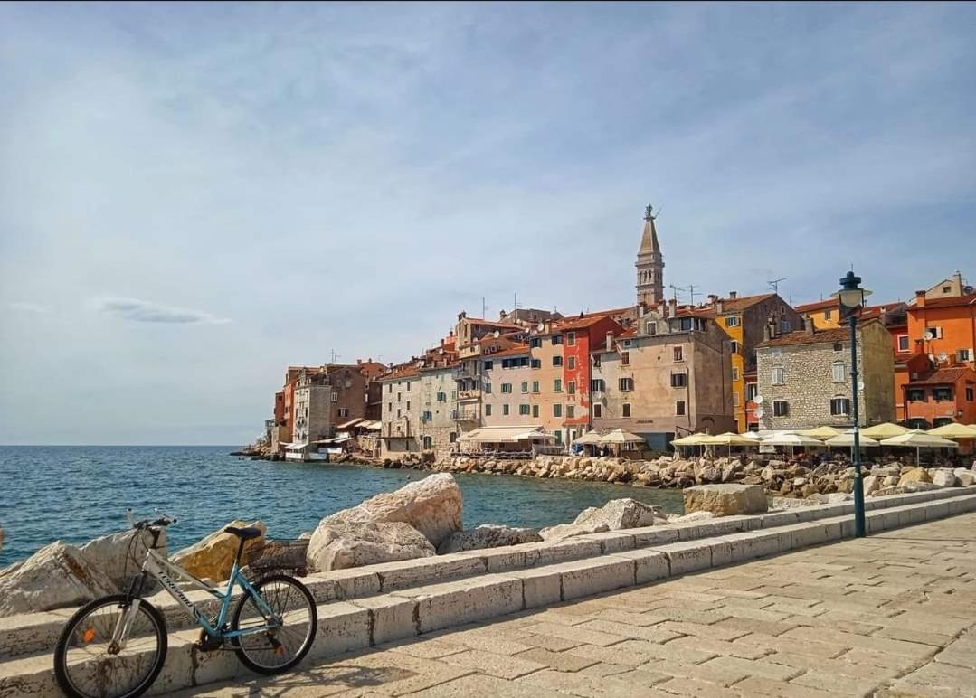 Apartment Neven Rovinj Parking Place Zewnętrze zdjęcie